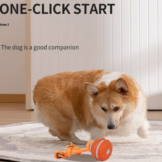 Interactive Pet Rolling Ball Toy USB Rechargeable